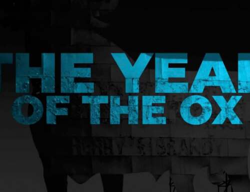 Premium Plus – The year of the ox